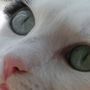 Avatar gebruiker